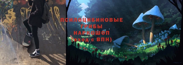 крисы Беломорск