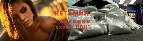 прущие грибы Баксан
