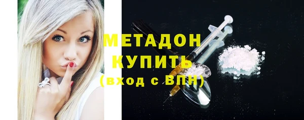 прущие грибы Баксан