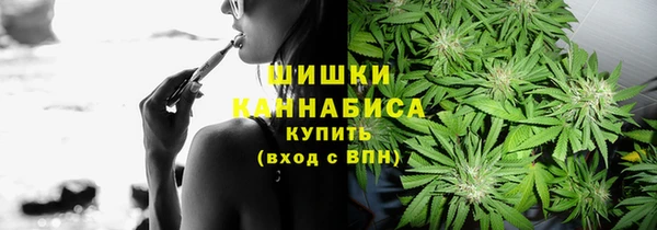 PSILOCYBIN Балабаново
